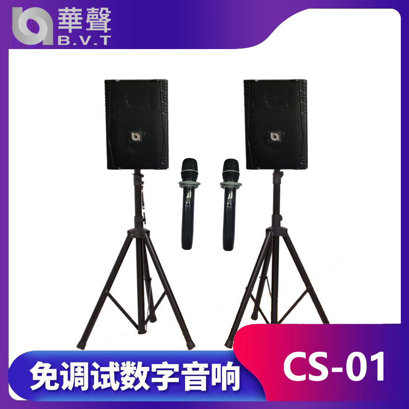 CS-01 免調試數字音響（xiǎng）係統
