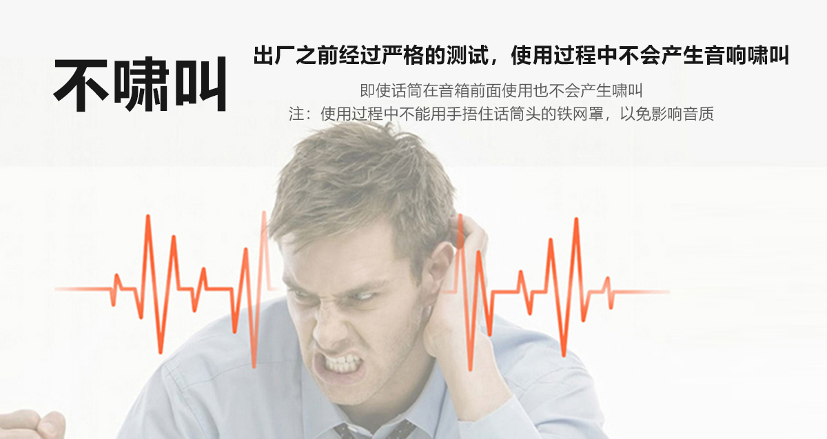 HS-01A 免調試數字音響係統(圖5)